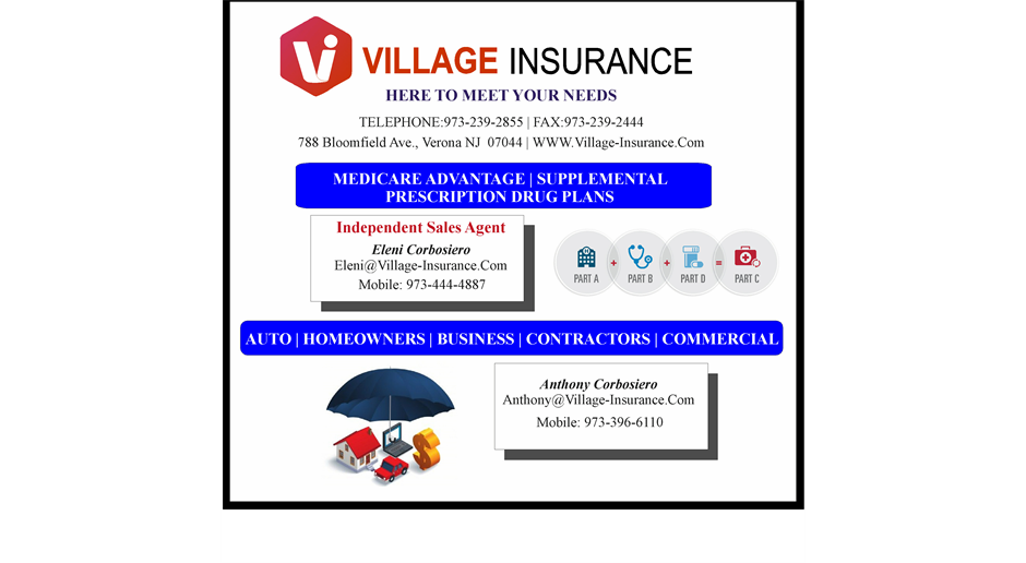 Gold Sponsor - Village Insurance